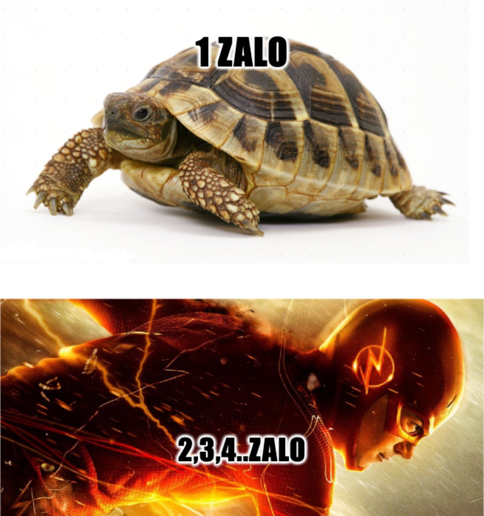 slow and fast dang nhap nhieu zalo voi zax slow and fast dang nhap nhieu zalo voi zax